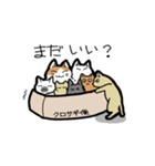 箱好き猫（個別スタンプ：16）