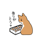 箱好き猫（個別スタンプ：19）