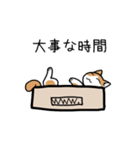 箱好き猫（個別スタンプ：22）