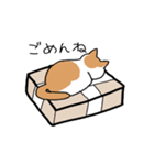 箱好き猫（個別スタンプ：31）