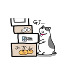 箱好き猫（個別スタンプ：37）