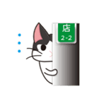 さんにゃんず（個別スタンプ：4）