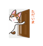 さんにゃんず（個別スタンプ：26）