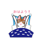 さんにゃんず（個別スタンプ：36）