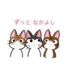 さんにゃんず（個別スタンプ：40）