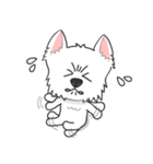 I LOVE West Highland White Terrier.（個別スタンプ：12）