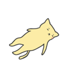 cat loose（個別スタンプ：12）