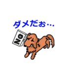 うちのお犬様（個別スタンプ：29）