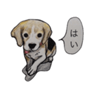 犬のきもち（個別スタンプ：38）