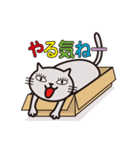 灰色の猫（個別スタンプ：19）