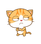 pumpkin cat（個別スタンプ：16）