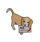 ビーグル犬のスタンプ（個別スタンプ：25）