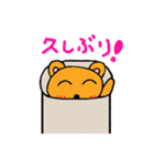 くまクマ（個別スタンプ：39）