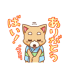 九州弁犬（個別スタンプ：35）