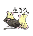 試験に出ない高校生物（個別スタンプ：20）