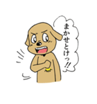 闘う犬シロ！（個別スタンプ：28）