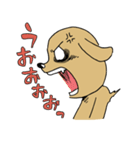 闘う犬シロ！（個別スタンプ：31）