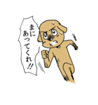 闘う犬シロ！（個別スタンプ：36）