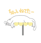 Life of Scottish Fold cat（個別スタンプ：9）