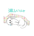 Life of Scottish Fold cat（個別スタンプ：14）