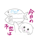 Life of Scottish Fold cat（個別スタンプ：22）