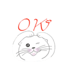 Life of Scottish Fold cat（個別スタンプ：30）