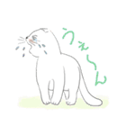 Life of Scottish Fold cat（個別スタンプ：36）