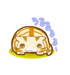 ねこ・みっくす（個別スタンプ：38）