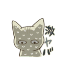 語彙力のないねこ（個別スタンプ：36）