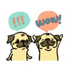 PUG2.English（個別スタンプ：24）