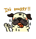 PUG2.English（個別スタンプ：27）