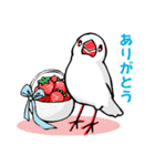 文鳥の日々（個別スタンプ：11）