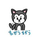 犬のタマちゃん（個別スタンプ：12）