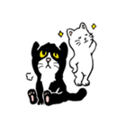 The black cat（個別スタンプ：9）