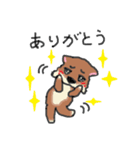 柴犬しょこら（個別スタンプ：13）