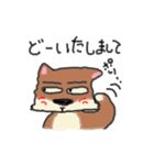 柴犬しょこら（個別スタンプ：14）