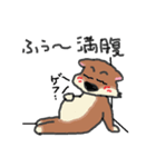 柴犬しょこら（個別スタンプ：24）