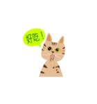 Pineapple cat 2（個別スタンプ：1）