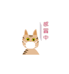 Pineapple cat 2（個別スタンプ：5）