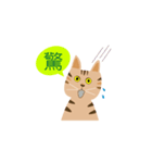 Pineapple cat 2（個別スタンプ：10）