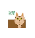 Pineapple cat 2（個別スタンプ：11）