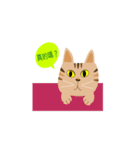 Pineapple cat 2（個別スタンプ：25）