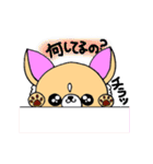 チワワん（個別スタンプ：33）