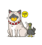 The friendly dog Yon（個別スタンプ：1）