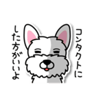 ほめ殺しの犬たち（個別スタンプ：7）