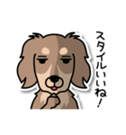 ほめ殺しの犬たち（個別スタンプ：37）