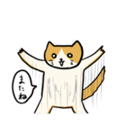 寄生猫（個別スタンプ：8）