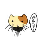 寄生猫（個別スタンプ：11）