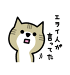 だめねこ（個別スタンプ：19）