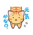 しっぽ＋ねこ（個別スタンプ：7）